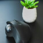 small computer mouse placed near potted plant